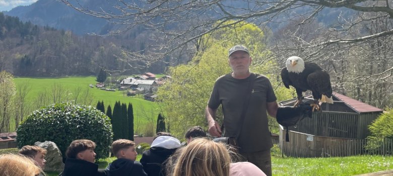 Greifvogelschau
